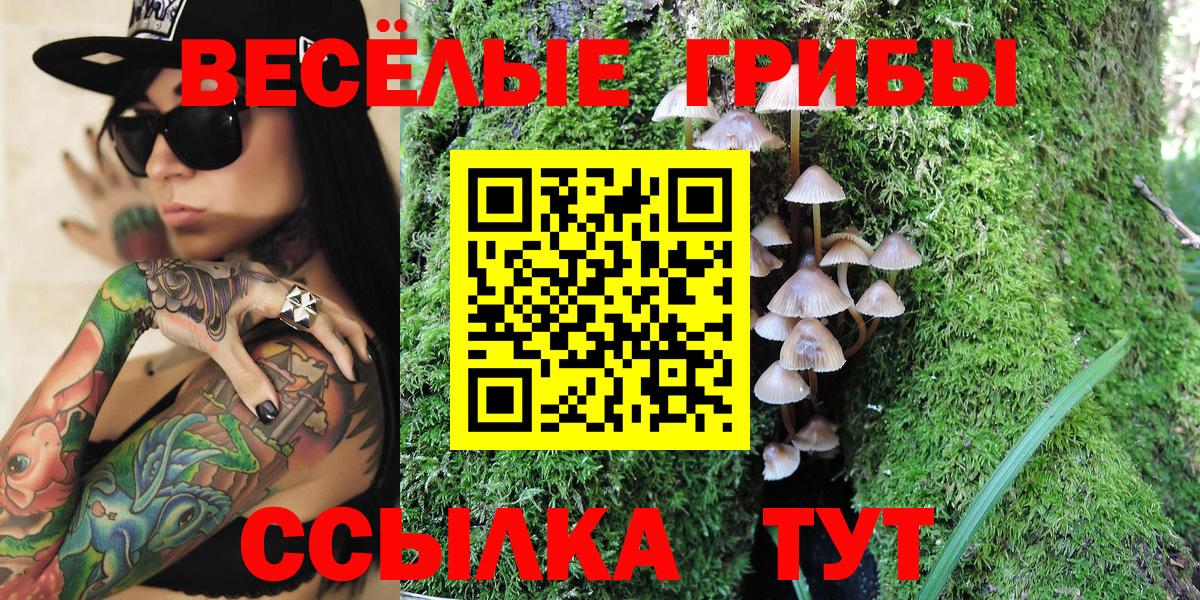 Псилоцибиновые грибы Psilocybe Реутов