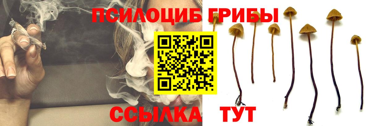 Галлюциногенные грибы мухоморы  Галлюциногенные грибы ЛСД  Реутов  Вход с VPN 